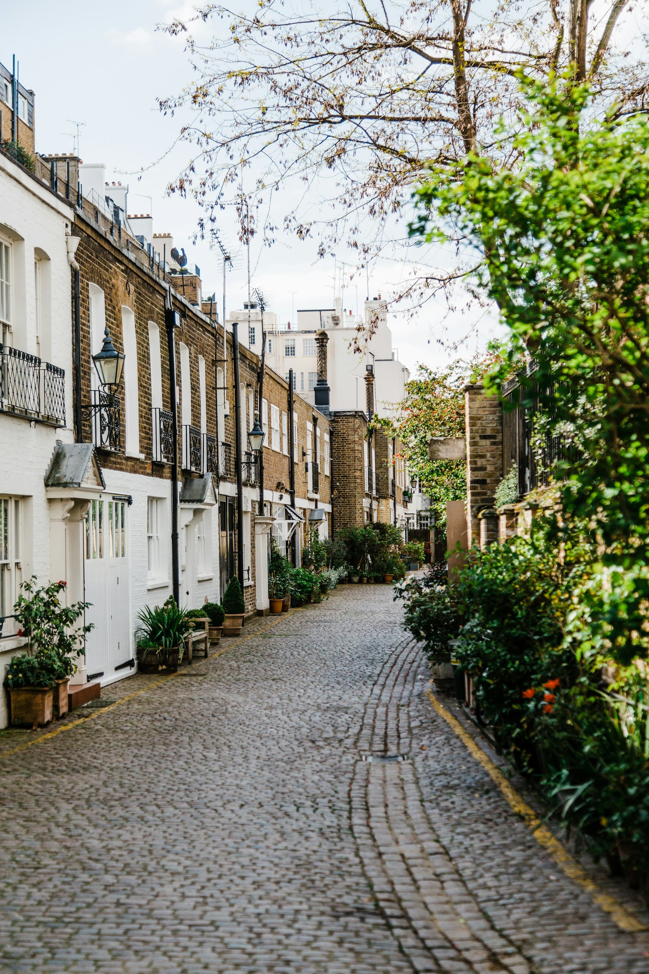 A quiet London mews lined with white and brick houses